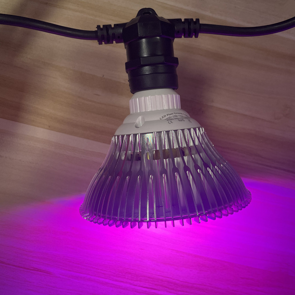 10 メートルケーブル LED ストリング商用グレード防水  - Bollard Light Garden のレビューと価格