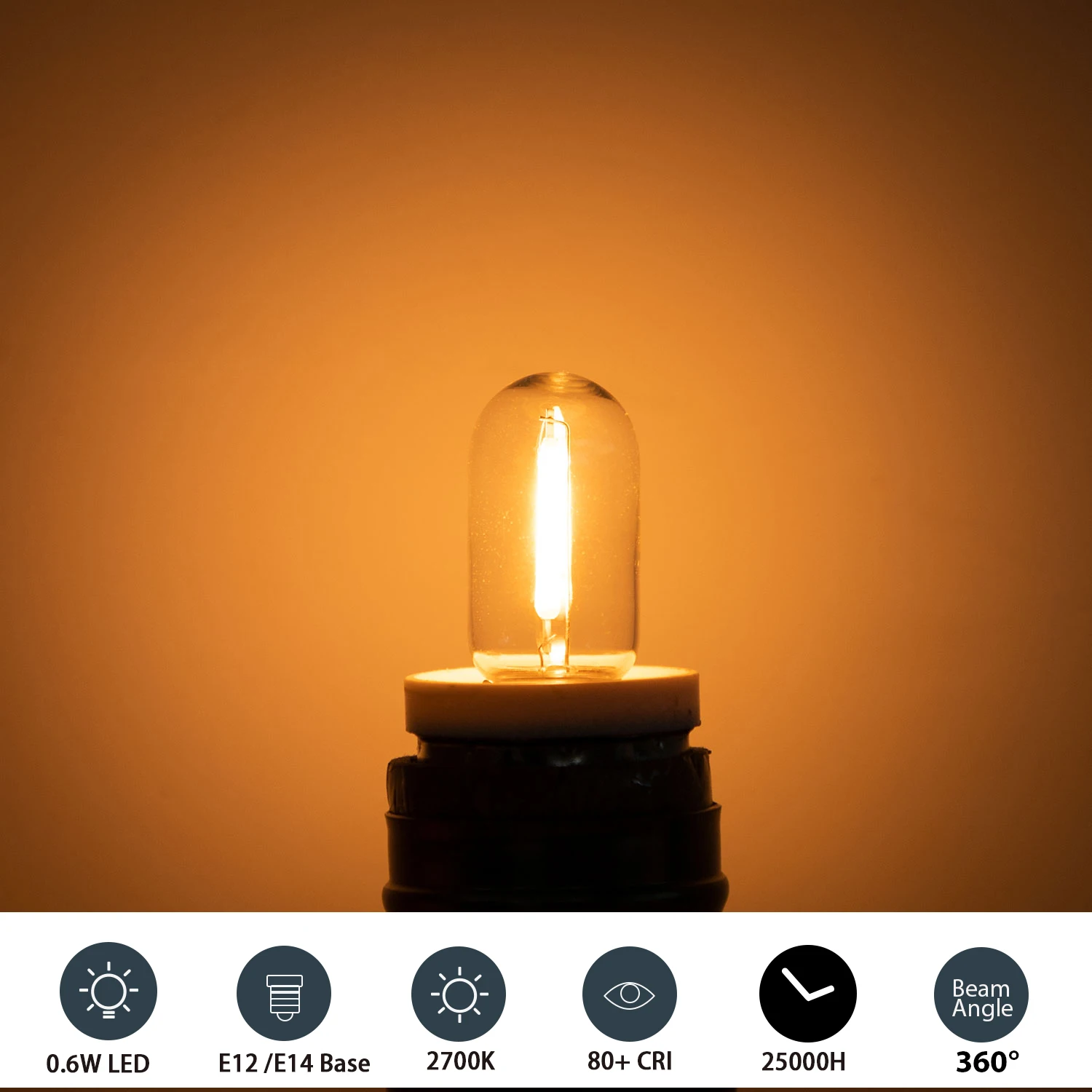 25個 LED T16 0.6W ストリング交換用電球 E1 - Outdoor Lighting Glass Replacement のレビューと価格