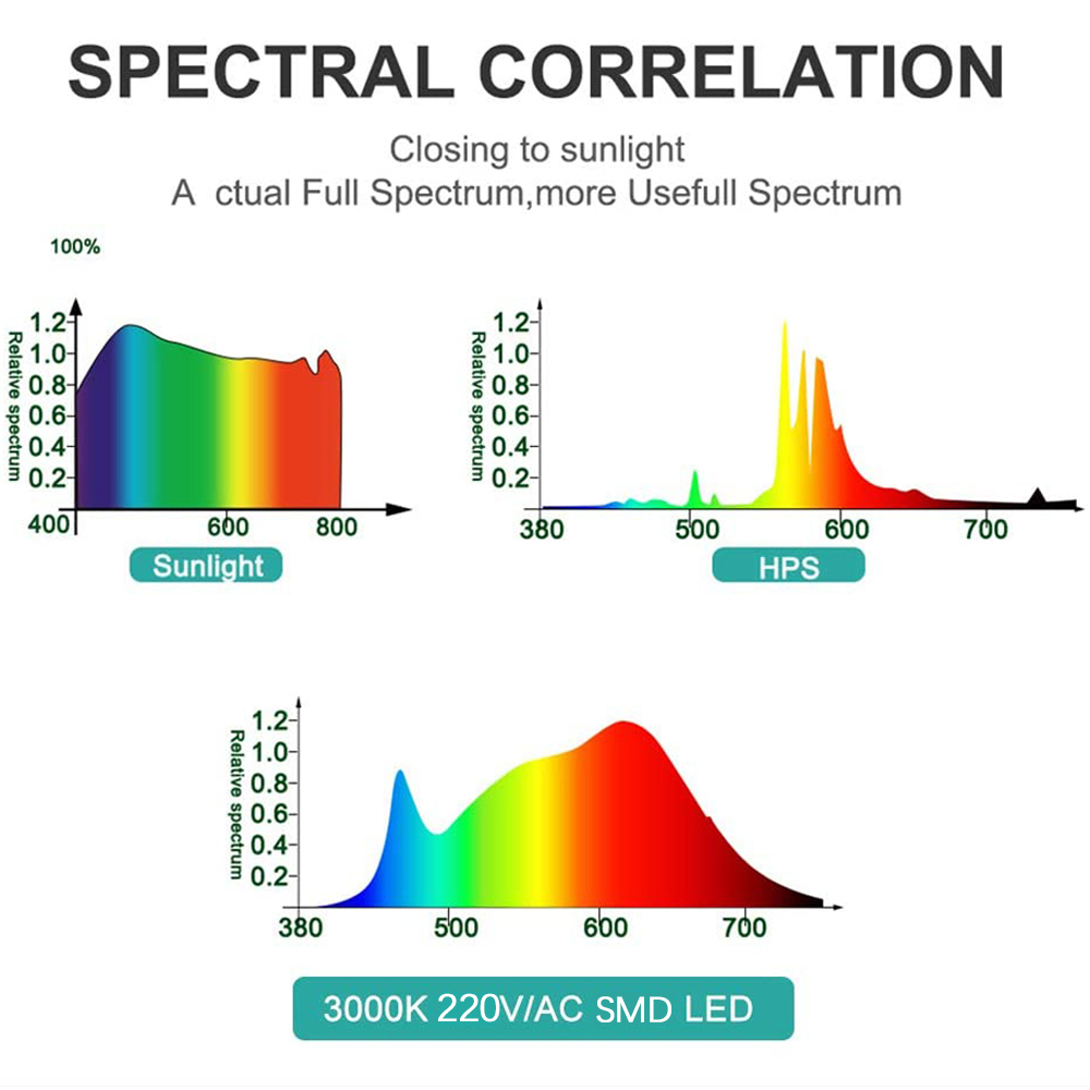 フルスペクトル LED 成長ライト PhytoLamp 植物 - Outdoor Lighting The Range のレビューと価格